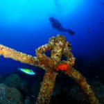 Outdoor holidays in Portugal: Scuba diving
